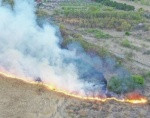 Пожары в Российской Федерации и близлежащих странах Пожары в Российской Федерации и близлежащих странах
