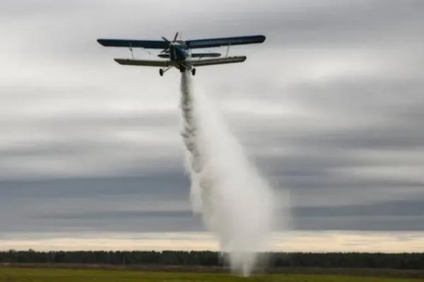ВК-1600С против АШ-62 и Honeywell TPE331: Что изменится после сертификации Ан-2 в 2026 году